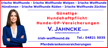 Irische-Wolfhunde